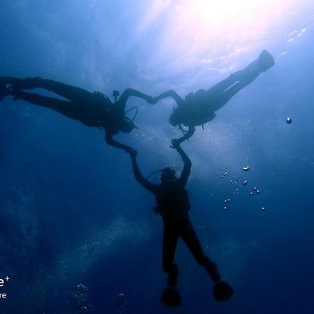 Seaxplore Lodge & Dive Center Sodwana Bay Exteriér fotografie